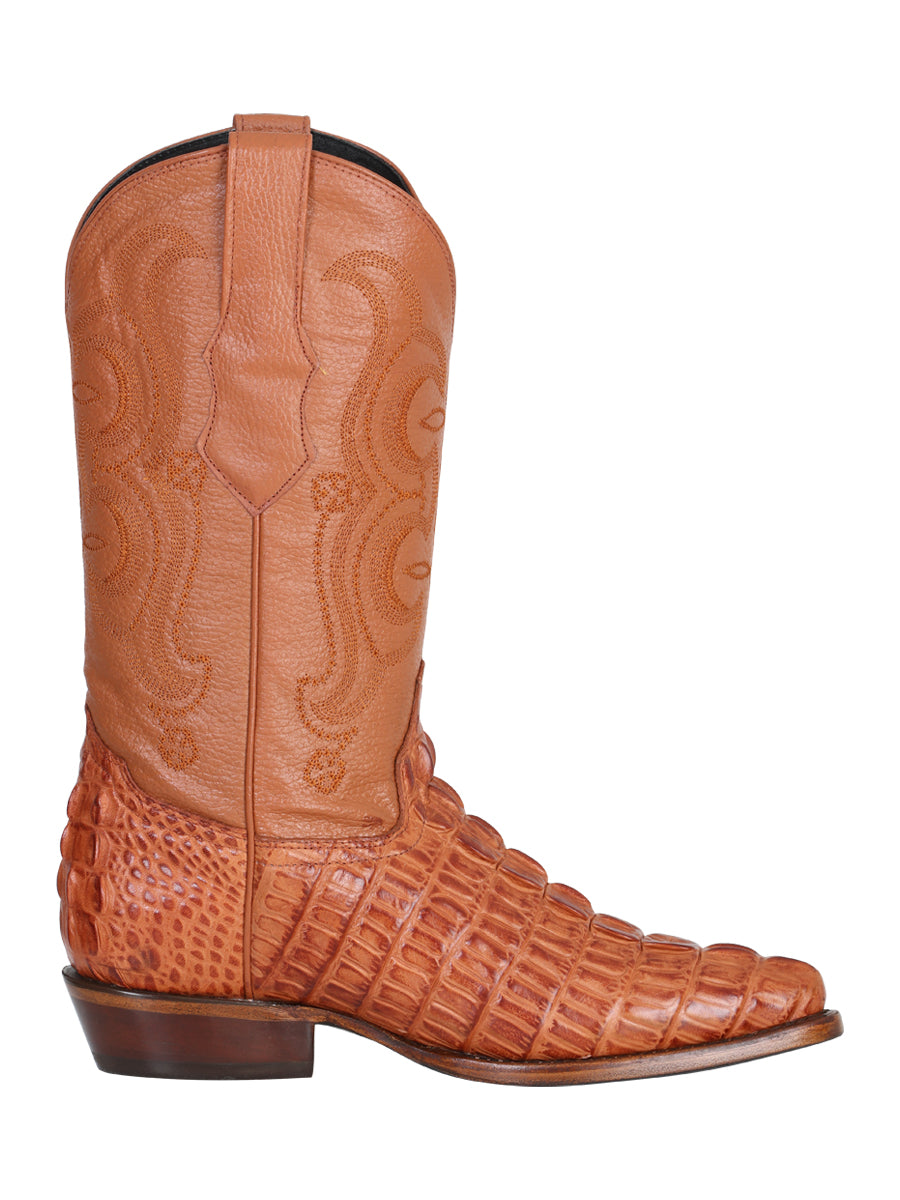 Cowboy boot El Señor de los Cielos - Caiman - Cognac 40841