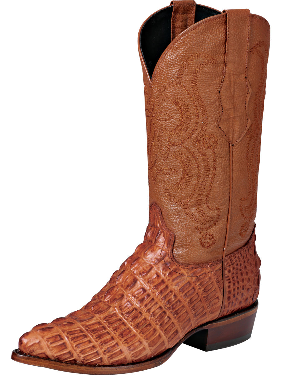 Cowboy boot El Señor de los Cielos - Caiman - Cognac 40841