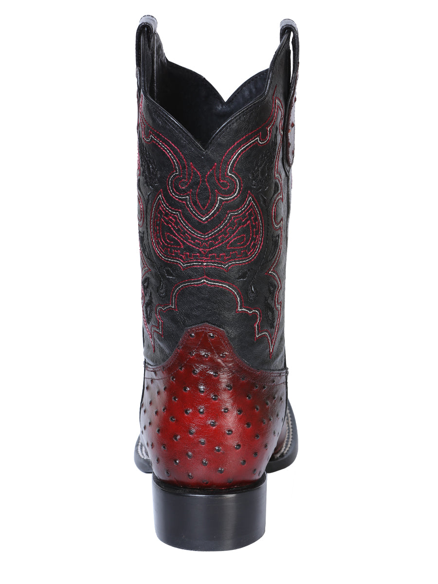 The General Rodeo Boot - Printed Ostrich Burgundy 41901